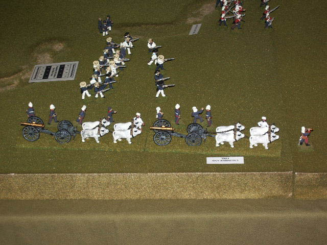 IMGP0848
