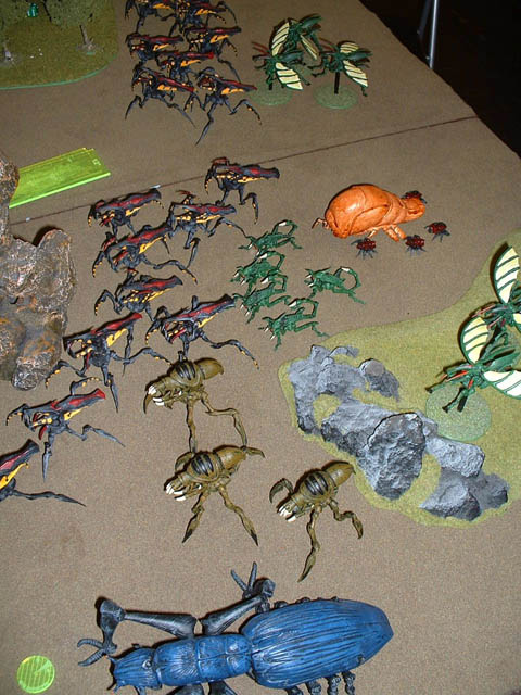 6Bug0007