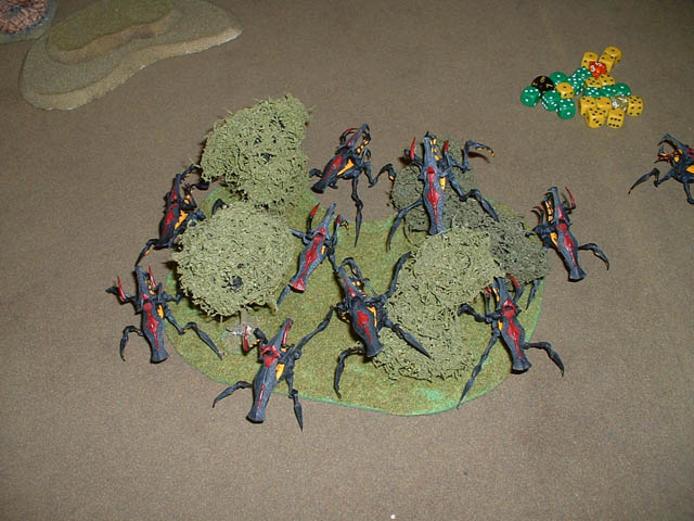 6Bug0009